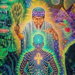 DMT The spirit Molecule