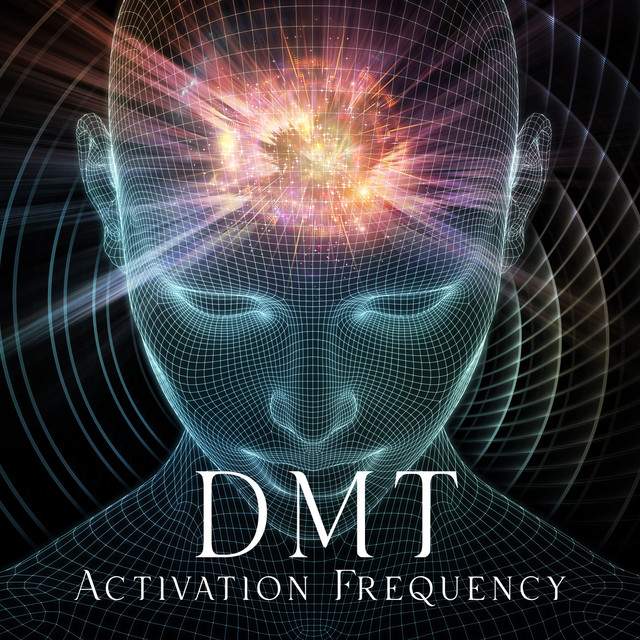 DMT and the pineal gland