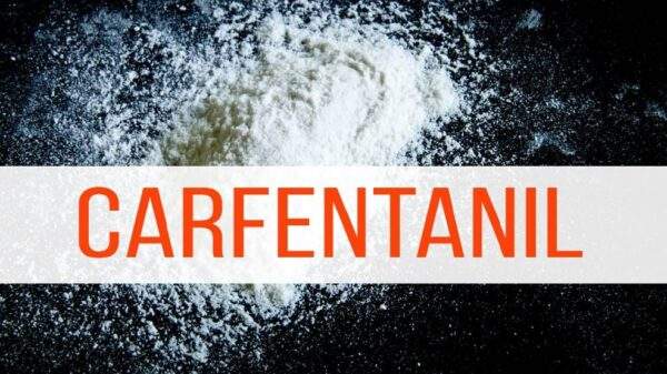 Carfentanil powder for sale