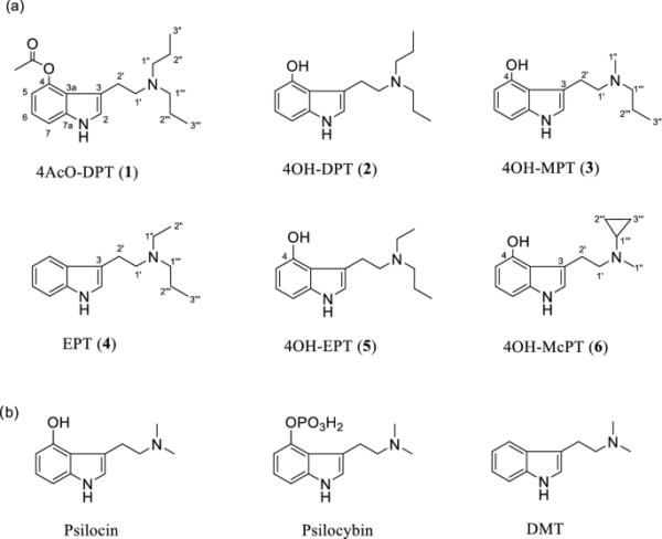 EPT fumarate Powder