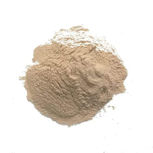 Ligandrol Raw Powder